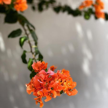 The Killians Boutique Hotel Kochi Екстериор снимка