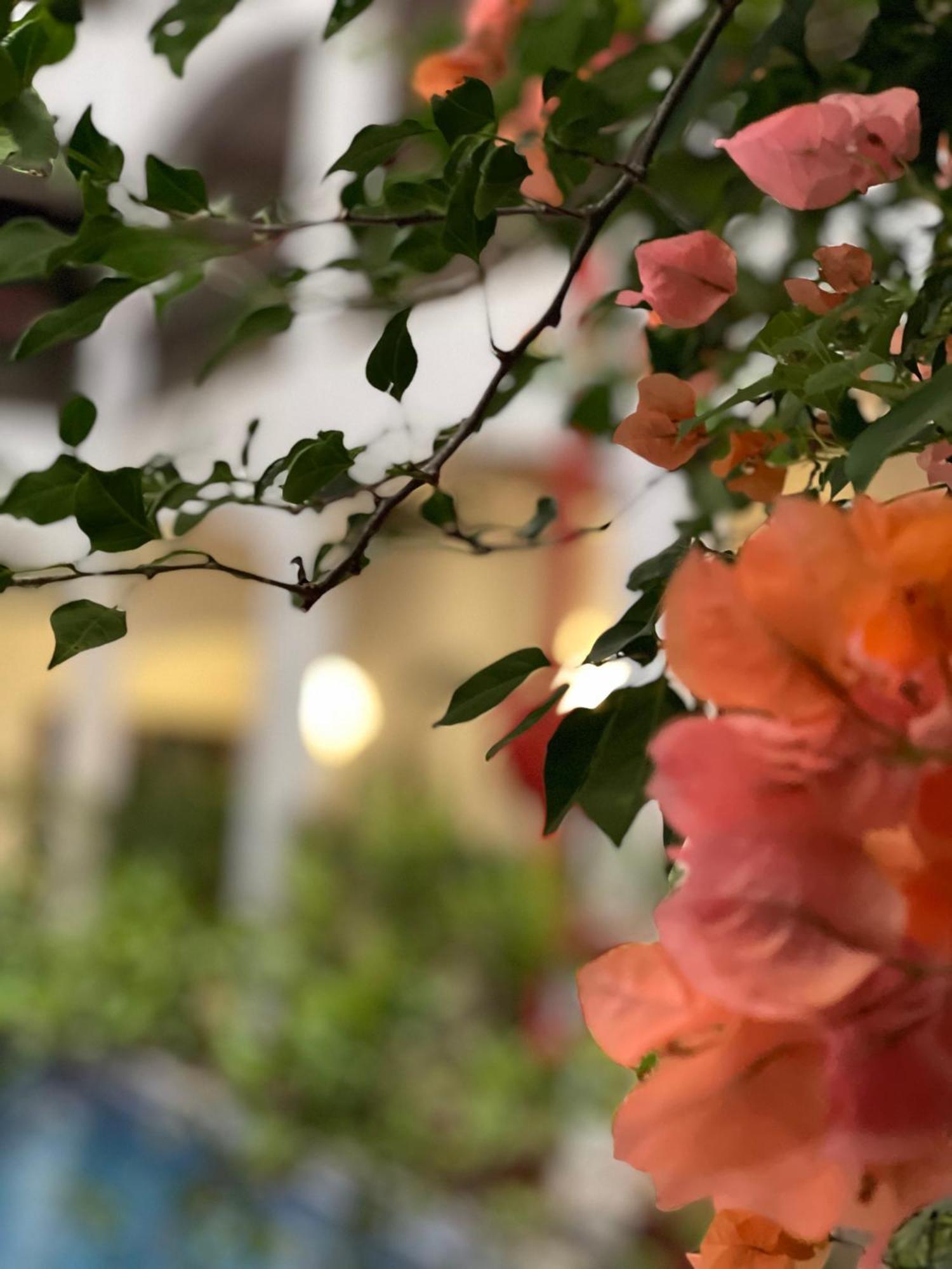 The Killians Boutique Hotel Kochi Екстериор снимка